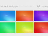 Windows 8 WP      -