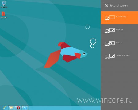      Windows 8 Consumer Preview