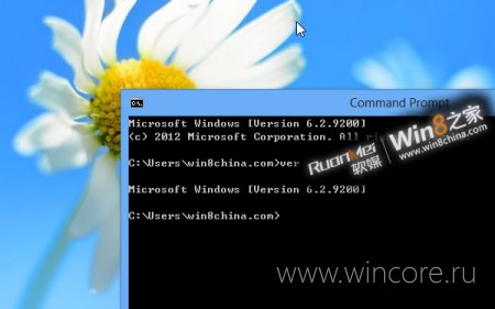 Windows 8 RTM    9200
