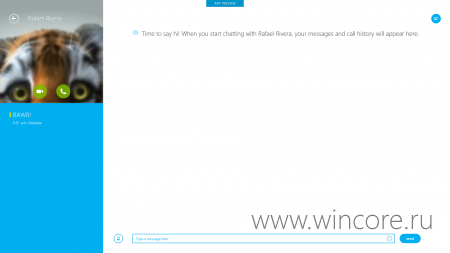     Skype  Windows 8