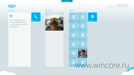     Skype  Windows 8