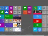 Microsoft     OEM- Windows 8