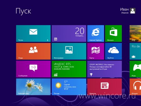  Windows 8