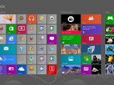   Windows 8       100 