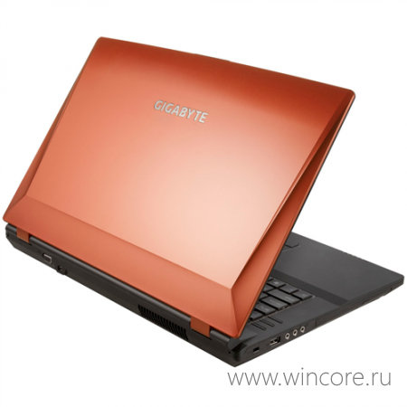 Gigabyte P2742G       Windows 8 Pro