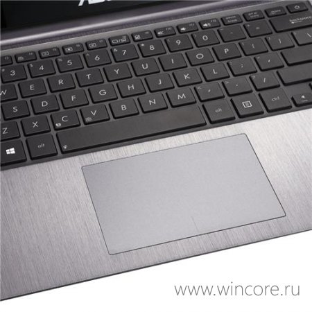 ASUS VivoBook U38N          AMD