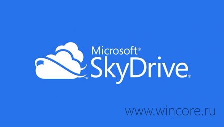 Microsoft  SkyDrive     