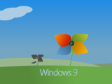        Windows 9