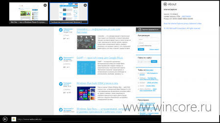 Windows Blue: Internet Explorer 11    