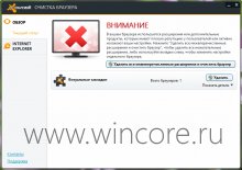 avast! Browser Cleanup       