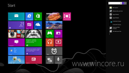    Windows 8.1