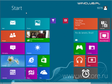  Windows 8.1        