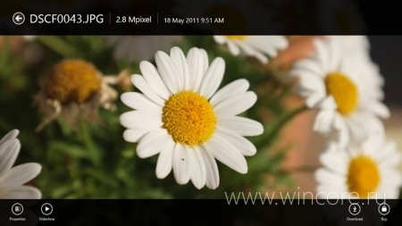 Picasa HD — удобный неофициальный клиент Google Picasa HD