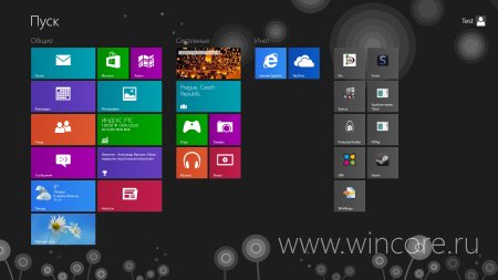 Microsoft         Windows 8