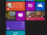  Windows 8.1          