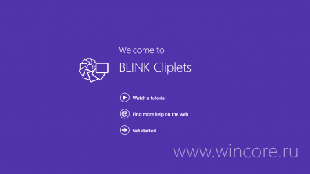 BLINK Cliplets    
