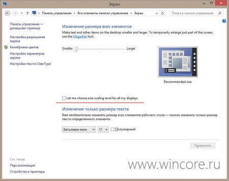        Windows 8.1 Preview?