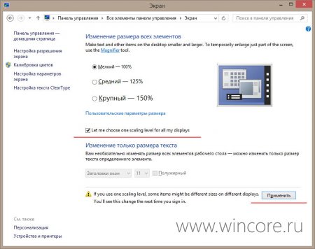        Windows 8.1 Preview?