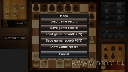 The Chess Lv.100 — шахматы для Windows 8 и RT