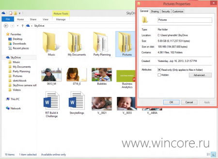 Microsoft     SkyDrive   Windows 8.1