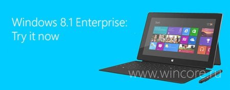    Windows 8.1 Enterprise
