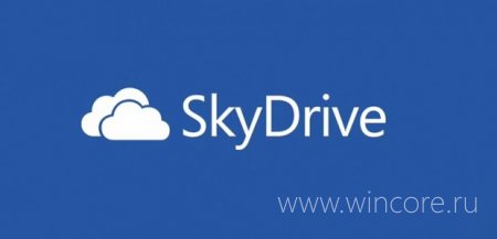 Microsoft     SkyDrive   