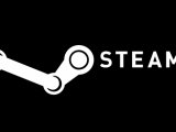 Windows 8      Steam