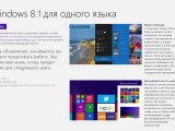  Windows 8.1 RT     Windows