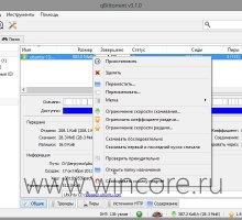 qBittorrent   -