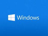 Microsoft Windows: 30      