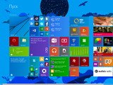    Windows 8.1    