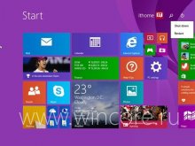   Windows 8.1     
