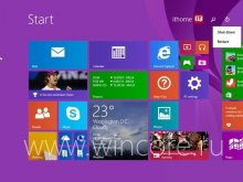    Windows 8.1     