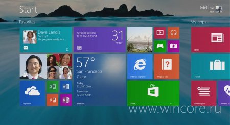 Microsoft   $100 000    Windows 8.1 