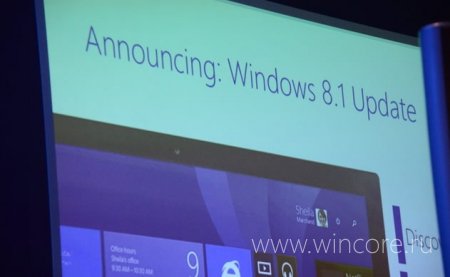 Microsoft      Windows 8.1  