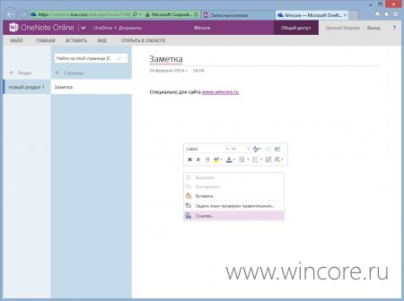 Microsoft    OneNote