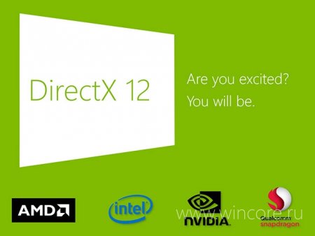   DirectX 12        