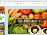   - Microsoft Office