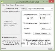 Moo0 Video Minimizer     