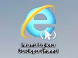 Microsoft  Internet Explorer Developer Channel