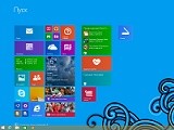    Windows 8.1 Update 2  Windows 9