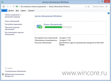 Microsoft     Internet Explorer  Windows