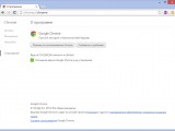 Google Chrome     64- 