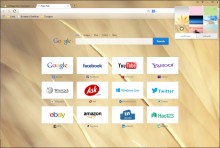 Spark Browser — браузер с поддержкой жестов, скинов и торрент-клиентом