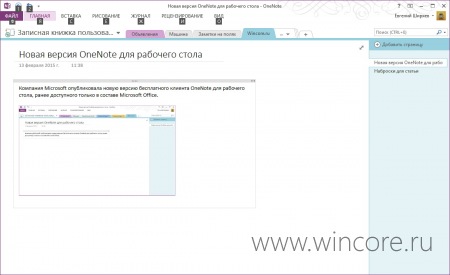    OneNote 2013   