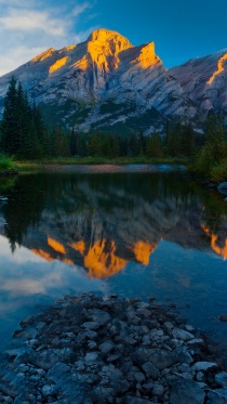 Nature      
