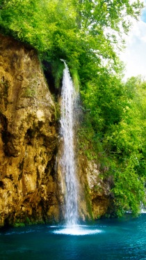 Nature      