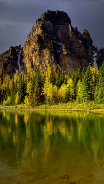 Nature      