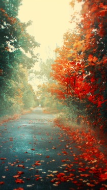 Nature      