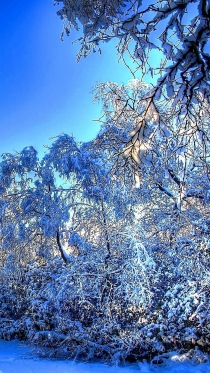 «Зимние пейзажи» — набор обоев для Lumia 950 и 950 XL